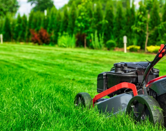 Lawn Mowing & Property Maintenance 1