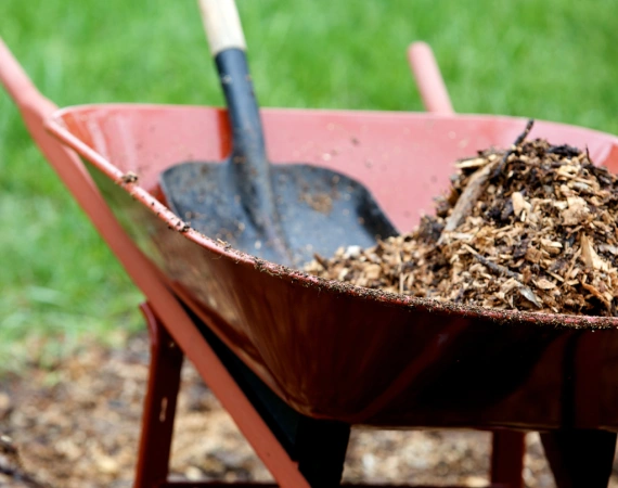 Mulching, Planting & Garden Beds 1