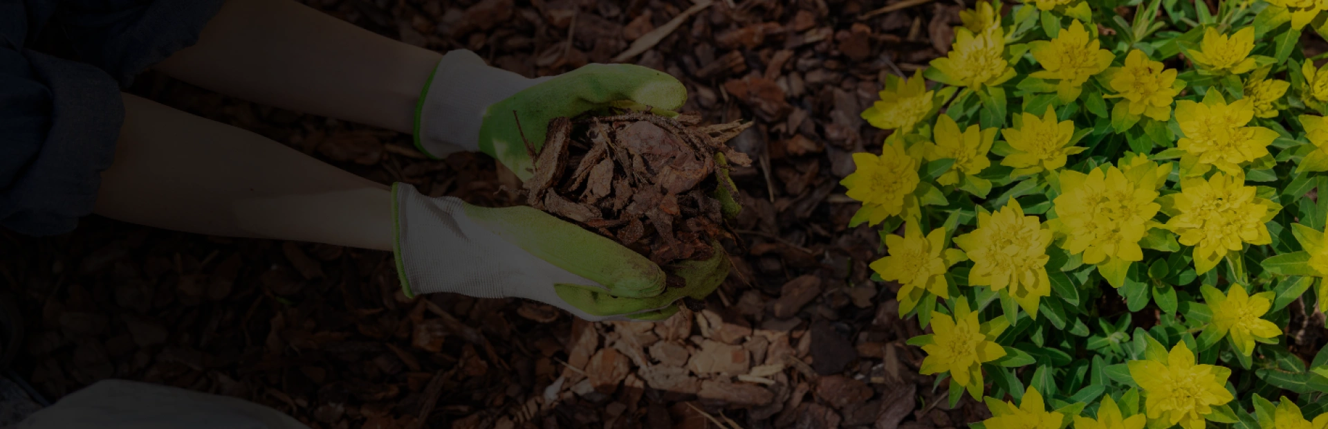 Mulching, Planting & Garden Beds breadcrumb