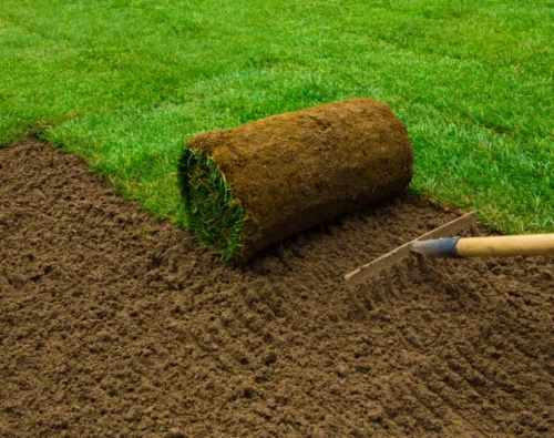 Sod & Artificial Turf Installation