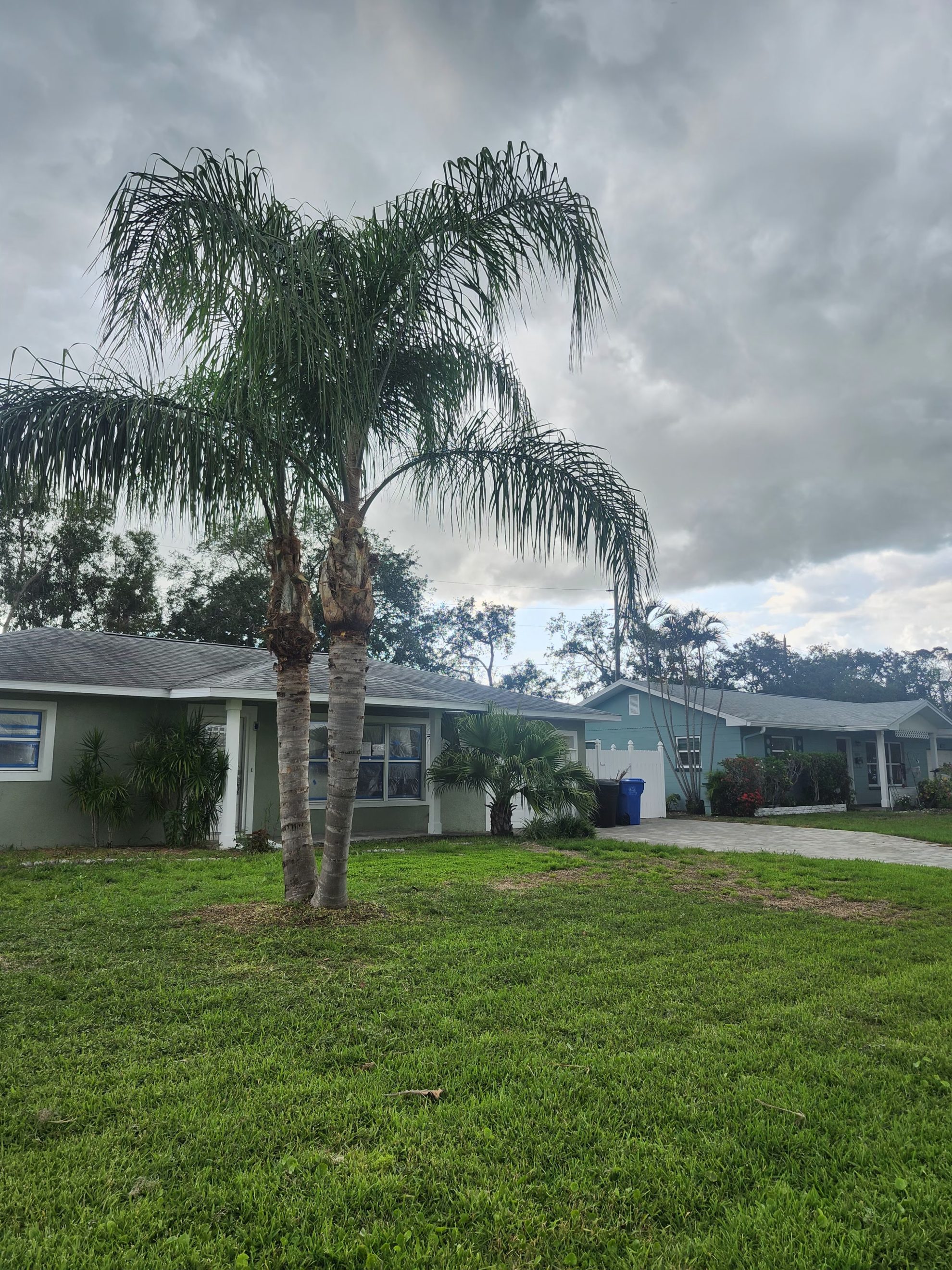 landscaping services in Largo, FL.